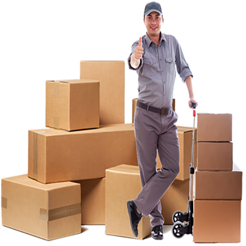 Packers-Movers4
