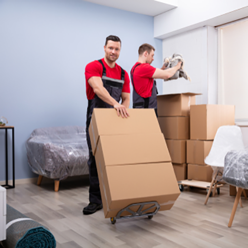 Packers-Movers5