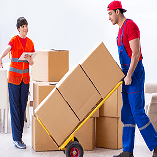 Packers-Movers6